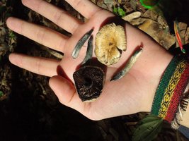 20131005_150615.jpg
