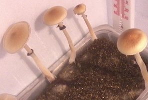 foto1.JPG