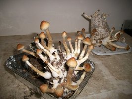 100_6139.jpg