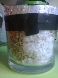 foto0011.jpg