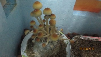 IMG_1785.jpg