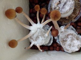 IMG_20131008_231127.jpg