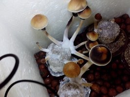 IMG_20131009_105745.jpg