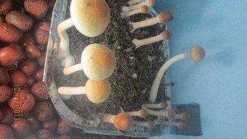IMG_1943.jpg