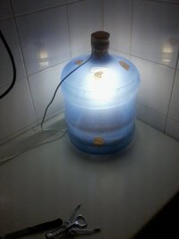 IMG_20131018_080909.jpg