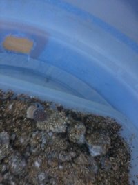 IMG_20131018_080944.jpg