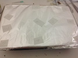 GTcasing4.jpg