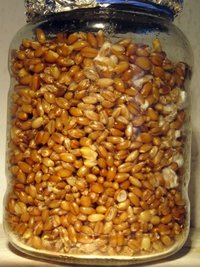 IMG_1925.JPG