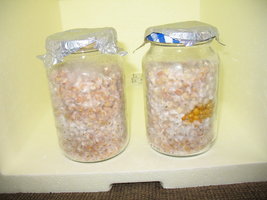 00020_1024x768.jpg