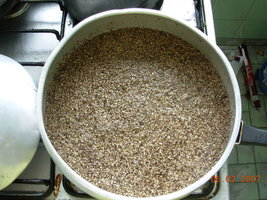 07-02-2007 grower- 01.JPG