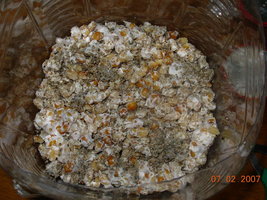 07-02-2007 grower- 07.JPG