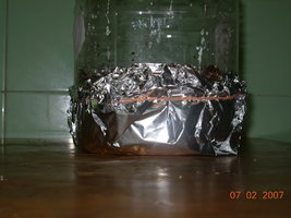 07-02-2007 grower- 18.JPG