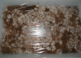 casing pesa indoor aspecto.jpg