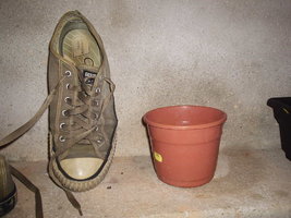 P1010006.JPG