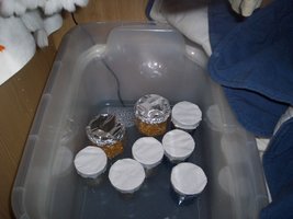 100_0172.jpg