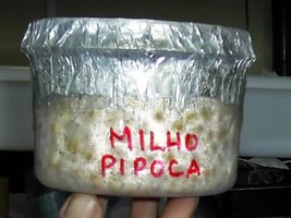 Imagem 0849.jpg