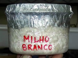 Imagem 0851.jpg
