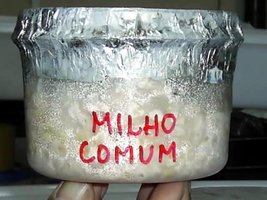 Imagem 0852.jpg