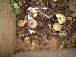 P1010008.JPG
