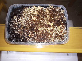 P1010003.JPG