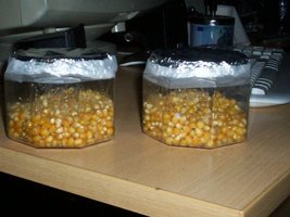 100_0175.jpg