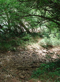 campi1.jpg