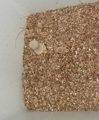 flor mex pins 1.jpg