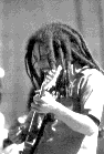 5.gif