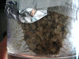 t_copo_4.jpg