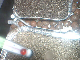 Fotografia 19.jpg