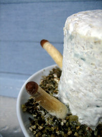 growing-002.jpg