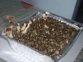 100_0220.jpg
