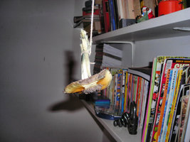 FSCN0947.JPG