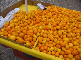Pequi05.jpg