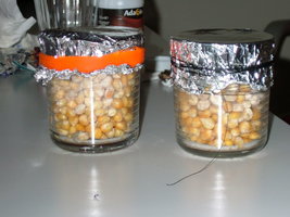 DSCF7675.JPG
