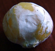 milhomacro.jpg
