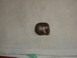 Imagem 015.jpg