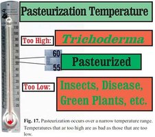 pasteurizacao.JPG