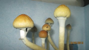 IMG_2047.jpg