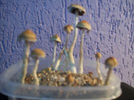 100_6108.JPG