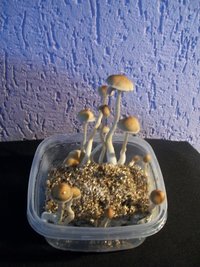 100_6110.JPG