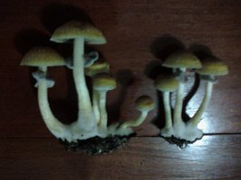 131026_132935.jpg