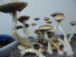 DSC03875.JPG