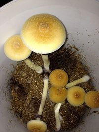 2013-10-27 19.56.25.jpg
