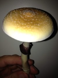 2013-10-27 19.57.35.jpg