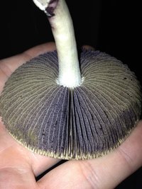 2013-10-27 20.16.48.jpg