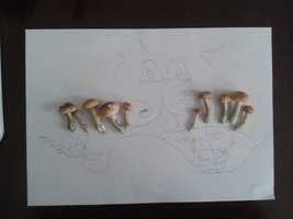 2013-10-31 14.36.25.jpg