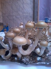 IMG_20131006_114006.jpg