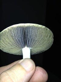 2013-10-27 20.16.36.jpg