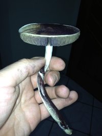 2013-10-27 20.17.11.jpg